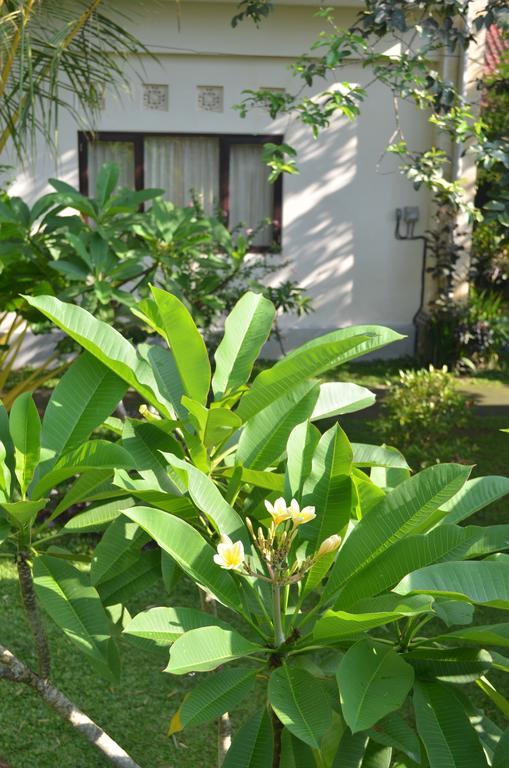 Wijaya Guest House Ubud Ngoại thất bức ảnh