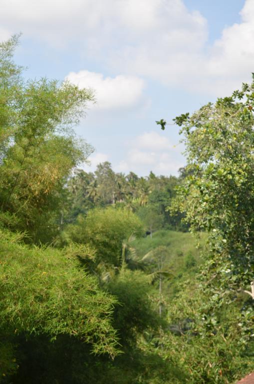 Wijaya Guest House Ubud Ngoại thất bức ảnh